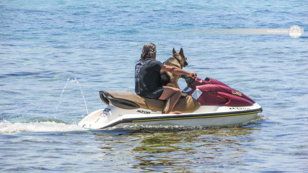 Noleggio Jetski a Miami USA
