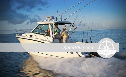 استئجار قارب Whaler 285 Conquest بطول 9 أمتار في جنوة بإيطاليا