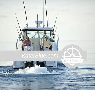 استئجار قارب Whaler 285 Conquest بطول 9 أمتار في جنوة بإيطاليا