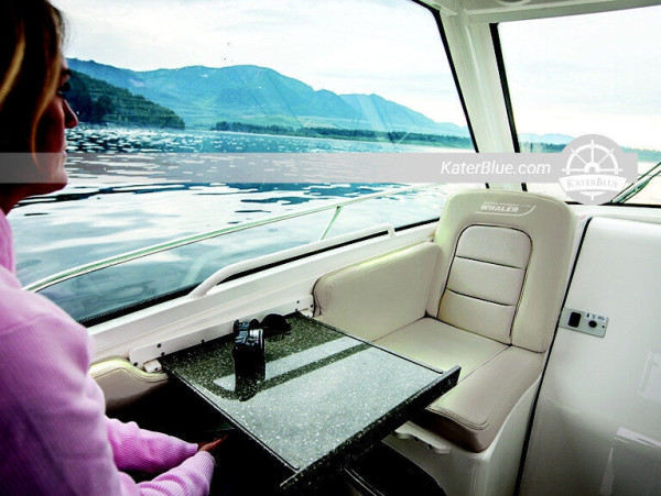 استئجار قارب Whaler 285 Conquest بطول 9 أمتار في جنوة بإيطاليا