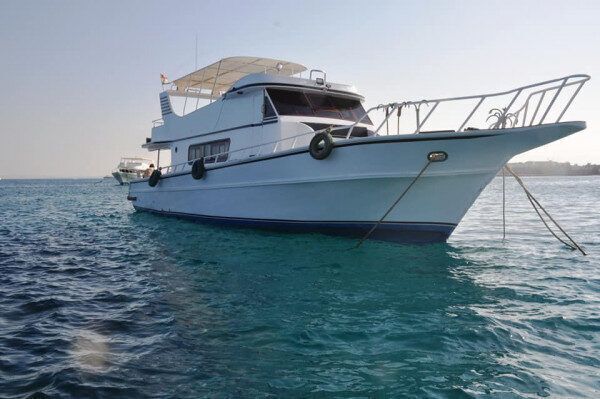 Escursione di pesca di 24 ore nel Mar Rosso, Hurghada, Egitto