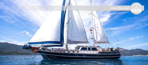 トルコ、ムグラ県ボドルム発、魅力的な6時間のクルーズ体験とグループイベント付きグレット船チャーター