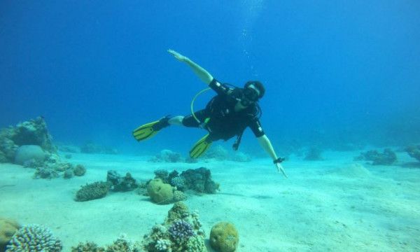 Escursione di snorkeling di 3 ore con pranzo incluso nel Golfo di Aqaba, Giordania.