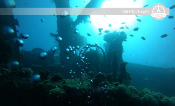 Escursione di snorkeling di 3 ore con pranzo incluso nel Golfo di Aqaba, Giordania.