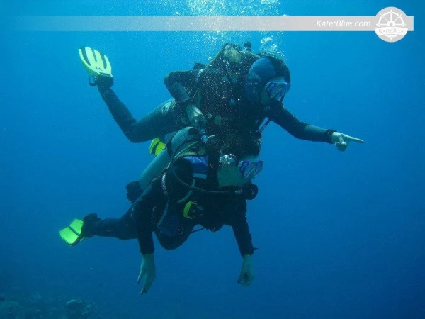 在约旦亚喀巴岛顶级潜水点体验潜水和浮潜水上探险