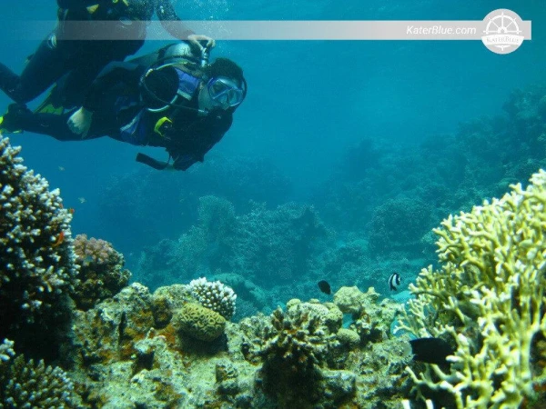 在约旦亚喀巴岛顶级潜水点体验潜水和浮潜水上探险