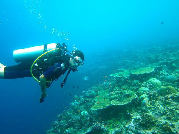 Hindistan'ın Goa eyaletindeki Vasco De Gama'da Tüplü Dalış - Su Macerası