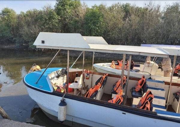 Motorbådsafari med flamingoobservation for 24 gæster i Mumbai, Indien