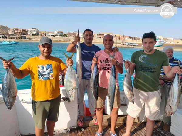 Mısır'ın Hurghada şehrinde 72 saatlik Şnorkelli Dalış ve Balık Avı Deneyimi Tekne Turu