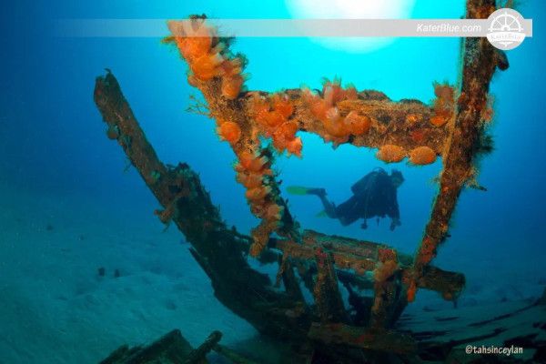 Expérience d'apnée en bateau à moteur à Kaş, Antalya, Turquie