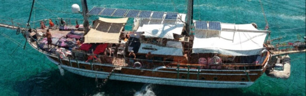 6 Ore di tour giornaliero senza pasto Noleggio caicco a Girne, Cipro Nord
