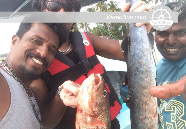 Charter Klotok de barco-casa de 3 dias em Tanjung Puting-Indonésia
