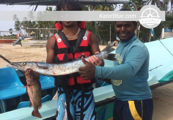 Charter Klotok de barco-casa de 3 dias em Tanjung Puting-Indonésia