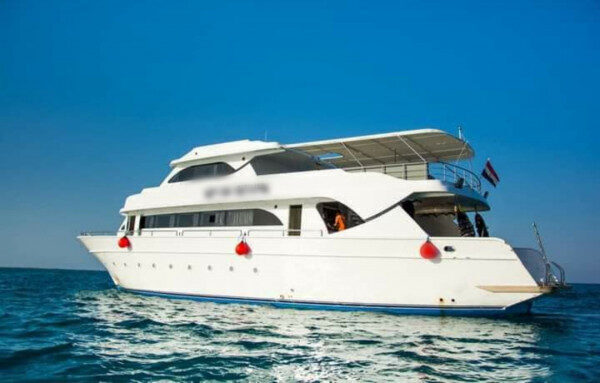 Sale Egyptian Industry Single Safari 2003 Yacht in Alexandria, Egypt
