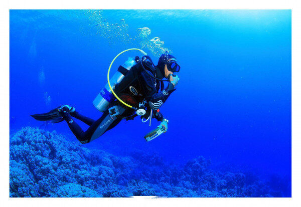 Wonderful Full-Day Dive Trip with a dive boat in 