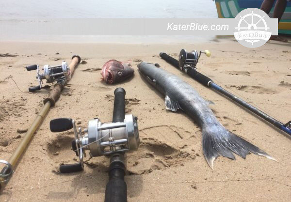 Charter Klotok de barco-casa de 3 dias em Tanjung Puting-Indonésia