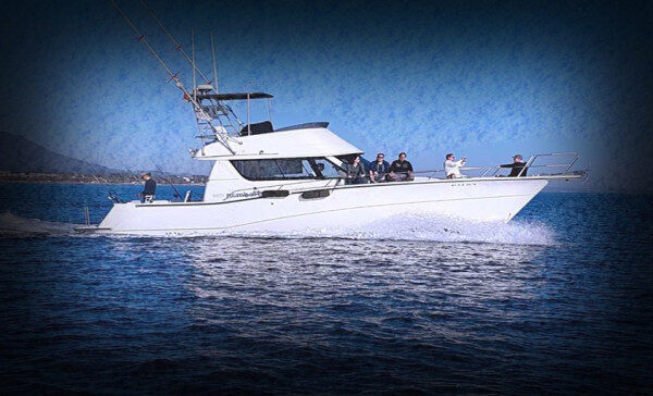 Excellent 8 Hours sailing Tour with a Stunning Motor Yacht in Málaga, Spain