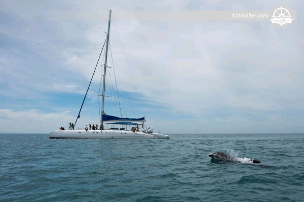 Quality Tourist Activities with Catamaran Fountaine Pajot-Experience in Setúbal, Portugal