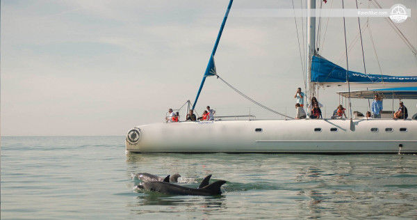 Quality Tourist Activities with Catamaran Fountaine Pajot-Experience in Setúbal, Portugal