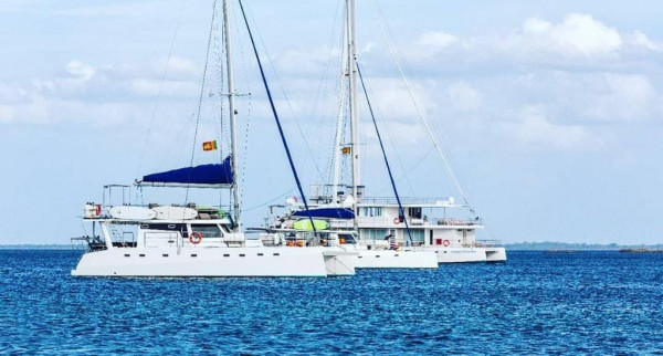 Unforgettable Whale watching Experience with a Special Trimaran modern cruiser in Mirissa Sri Lanka