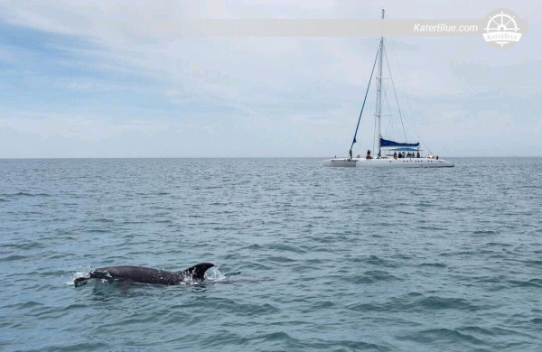 Quality Tourist Activities with Catamaran Fountaine Pajot-Experience in Setúbal, Portugal