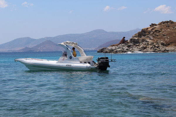 Yunanistan'ın Naxos adasında, inanılmaz derecede konforlu bir RIB teknesiyle yarım günlük bir deneyim.