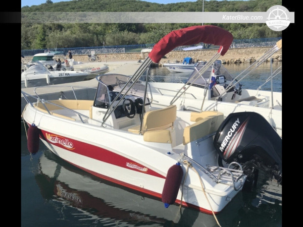 Have a Great Vacation with Speedboat for Water Adventure in Krk Istria, Croatia