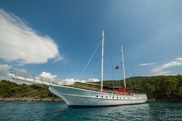 Croisière bleue avec un équipage professionnel de 6 personnes à Bodrum, en Turquie