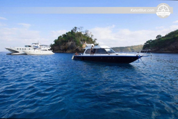Full-Day Cruising Experience along Nusa Penida/Lembongan in Badung-Indonesia 