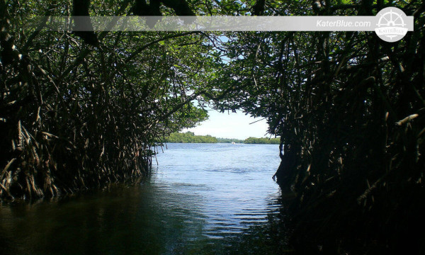 Balapitiya-Sri Lanka çevresinde harika Madu nehri safari deneyimi