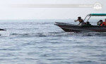 Avistamiento de ballenas en barco a motor Trincomalee-Sri Lanka
