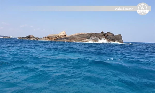 استكشف الشعاب المرجانية والحياة البحرية في ترينكومالي، سريلانكا