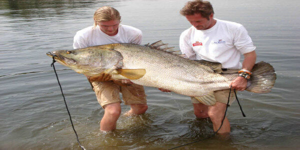 Esplora la pesca sportiva Buikwe-Uganda