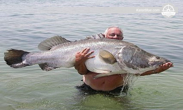 Esplora la pesca sportiva Buikwe-Uganda