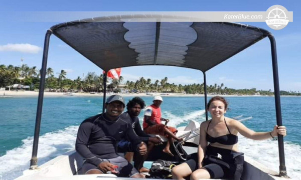Incredible Whales watching experience on blue waters Trinco-Sri Lanka