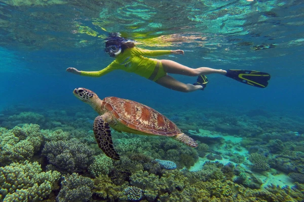 Swim with aquatic life in the Swami rock Blue waters Trinco-Sri Lanka.