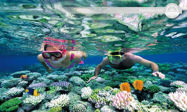 Snorkeling with Turtles in Mirissa-Sri lanka