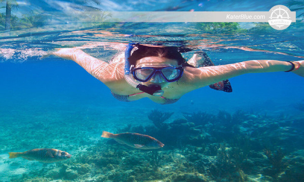 Snorkeling with Turtles in Mirissa-Sri lanka