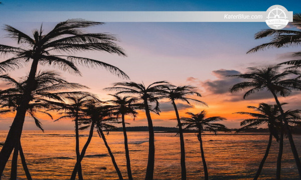 Erleben Sie den wunderschönen Sonnenuntergang in Mirissa, Sri Lanka.