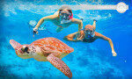Snorkeling with Turtles in Mirissa-Sri lanka