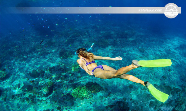 Snorkeling with Turtles in Mirissa-Sri lanka