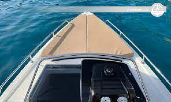 Sunset cruises & Dolphin experience tour in Malaga, Spain.