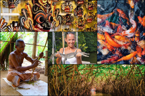 Visit mask manufacturer unique to Sri Lanka while exploring mangroves