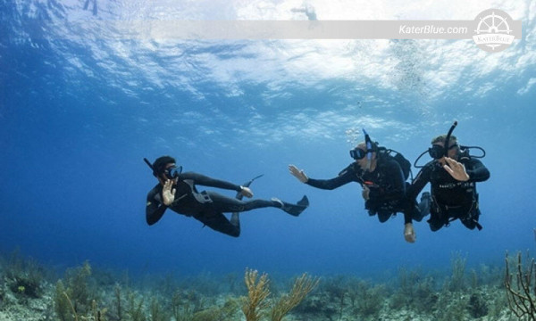 Okyanusun muhteşem deniz yaşamını keşfedin Trincomalee-Sri Lanka
