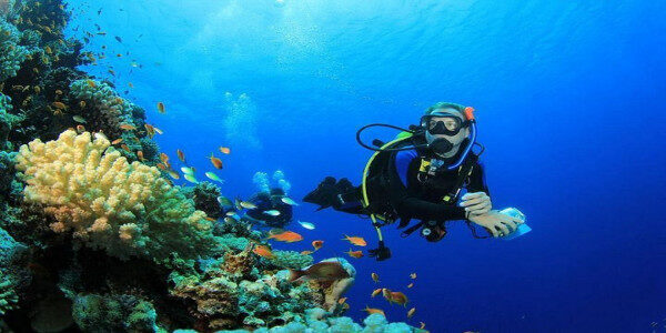 Experiencia de buceo memorable en el asombroso mundo submarino de Hurghadai, Egipto.