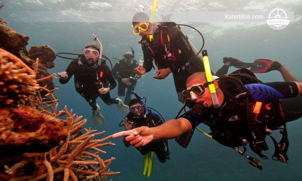 Okyanusun muhteşem deniz yaşamını keşfedin Trincomalee-Sri Lanka