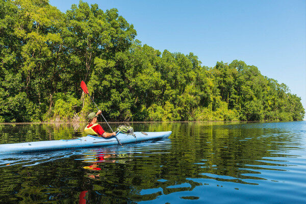 Paddle a Kayak within Mangroves in Madu river Ambalangoda-Sri Lanka