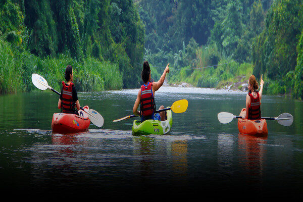 Explore mangroves by paddling a kayak in Ambalangoda-Sri Lanka
