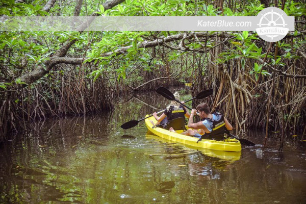 Explore mangroves by paddling a kayak in Ambalangoda-Sri Lanka
