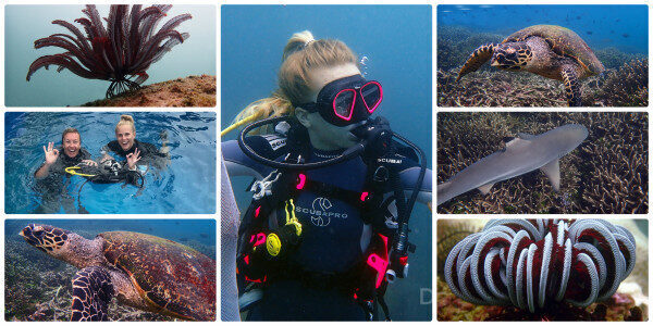 PADI Open Water Diver for Beginners Trincomalee-Sri Lanka